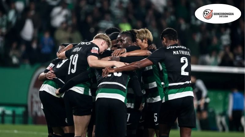 Soi kèo bóng đá Sporting CP vs Moreirense, 02h15 ngày 23/9 2 Thông tin lực lượng Sporting CP vs Moreirense mới nhất